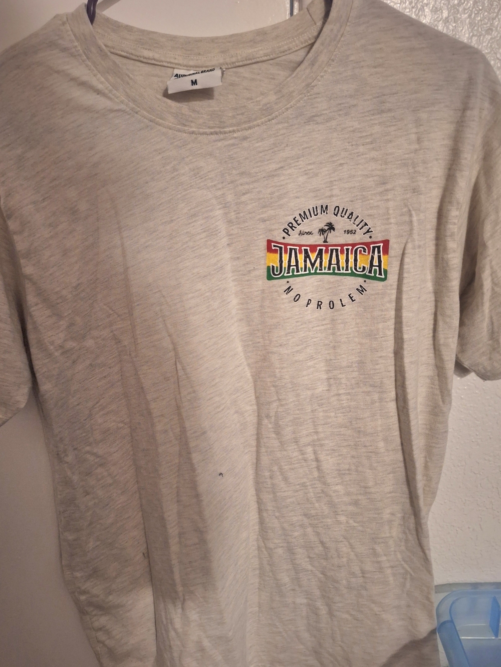 IRO Beige Short Sleeve T-Shirt with Jamaica Chest Graphic